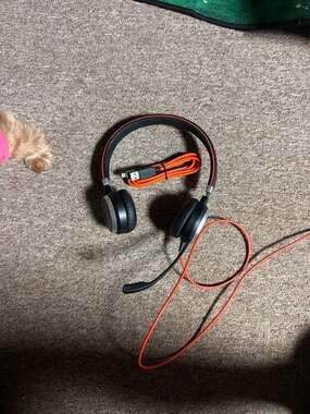 Jabra Evolve 40 Stereo Wired On-Ear Headset with Noise Cancelling Microphone